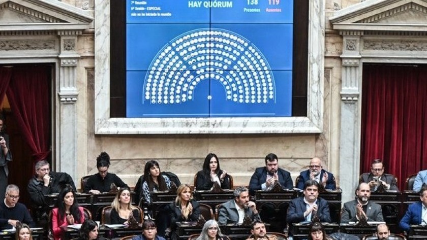 Diputados: La oposición logró aprobar prórroga de la Emergencia en Discapacidad y avanzó con morosos